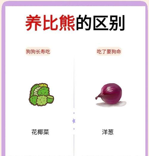 比熊能吃鸡心吗？吃鸡心对比熊有什么好处？