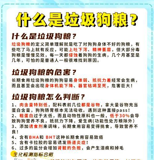 中型犬每顿饭应该喂多少克狗粮？如何科学喂食？