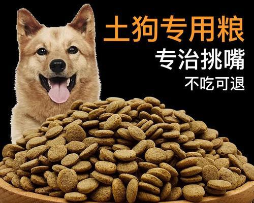 中型犬每顿饭应该喂多少克狗粮？如何科学喂食？