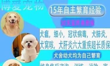 比熊犬一次喂多少鸡蛋黄合适？鸡蛋黄对比熊有何影响？