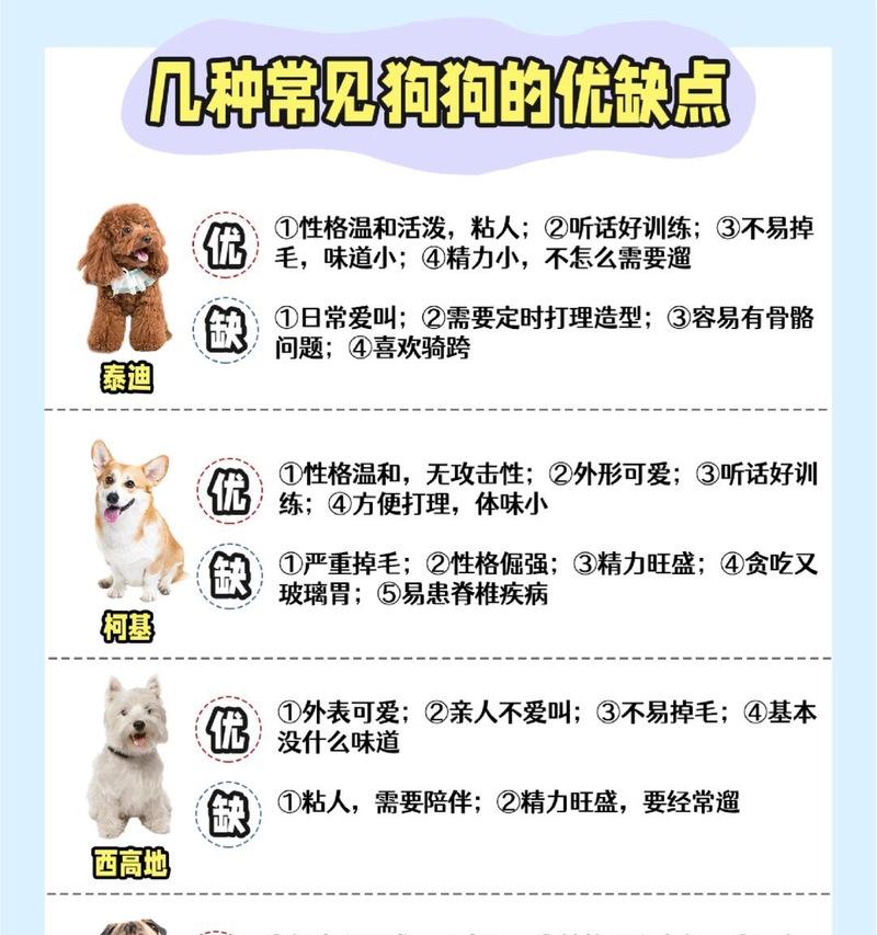 泰迪突然拒食狗粮是生病了吗？如何判断泰迪的健康状况？