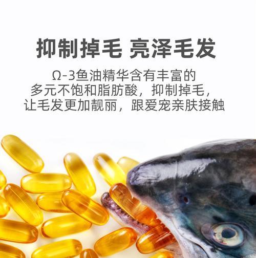 八个月古牧每餐狗粮量是多少？怎样的喂食频率合适？