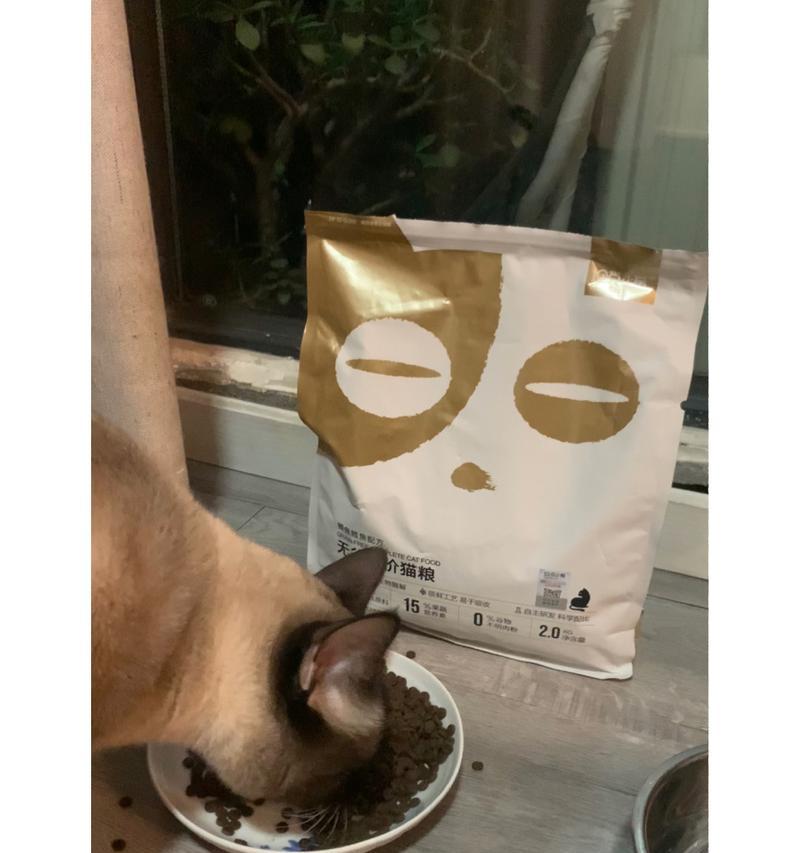 一岁暹罗猫每天应吃多少猫粮？怎样的食量算正常？