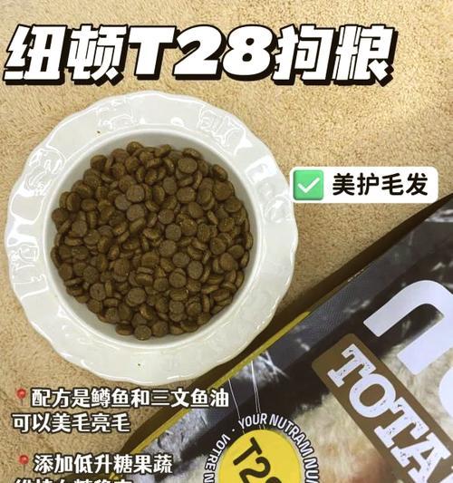 比熊犬可以吃生白菜拌狗粮吗？有哪些注意事项？