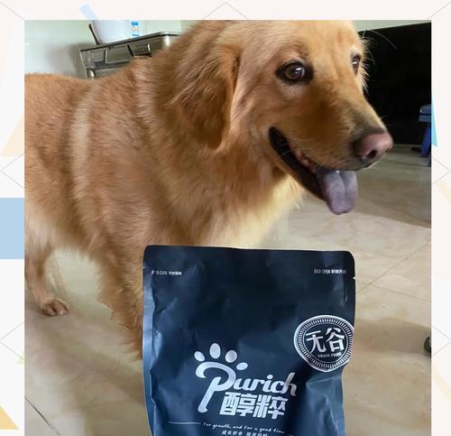 贵宾犬适合哪种天然狗粮？推荐品牌有哪些？