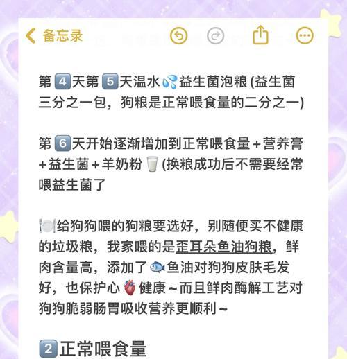 三个月比熊幼犬喂养方法？需要注意什么？