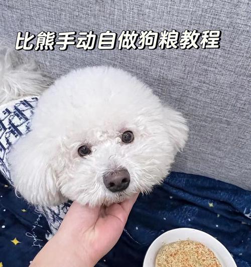 鸡肝怎么做给比熊吃好吃呢啊？如何烹饪鸡肝以确保比熊犬的健康？