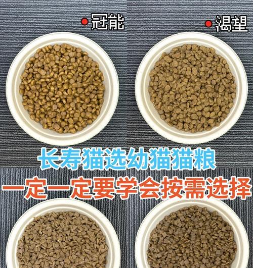 幼猫猫粮摄入量：一般吃多少毫升合适？