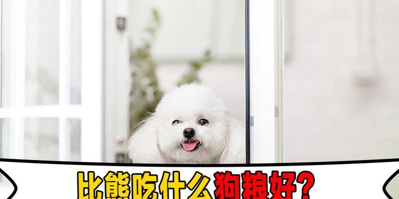 比熊犬可以长期吃同一种狗粮吗？长期吃有什么影响？