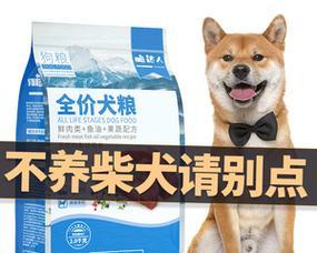 两个月秋田犬每餐应该喂多少狗粮？喂食建议是什么？