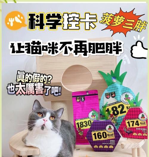 幼猫每次吃猫粮的合适粒数是多少？喂养建议是什么？