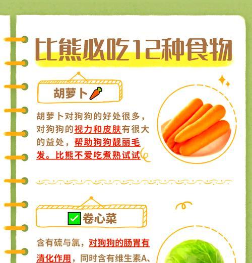 4个月比熊狗狗吃多少狗粮？喂食量怎么算？