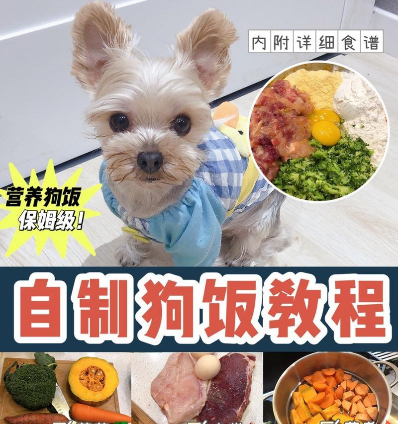 20斤狗的自制粮食谱是什么？自制狗粮的正确分量是多少？