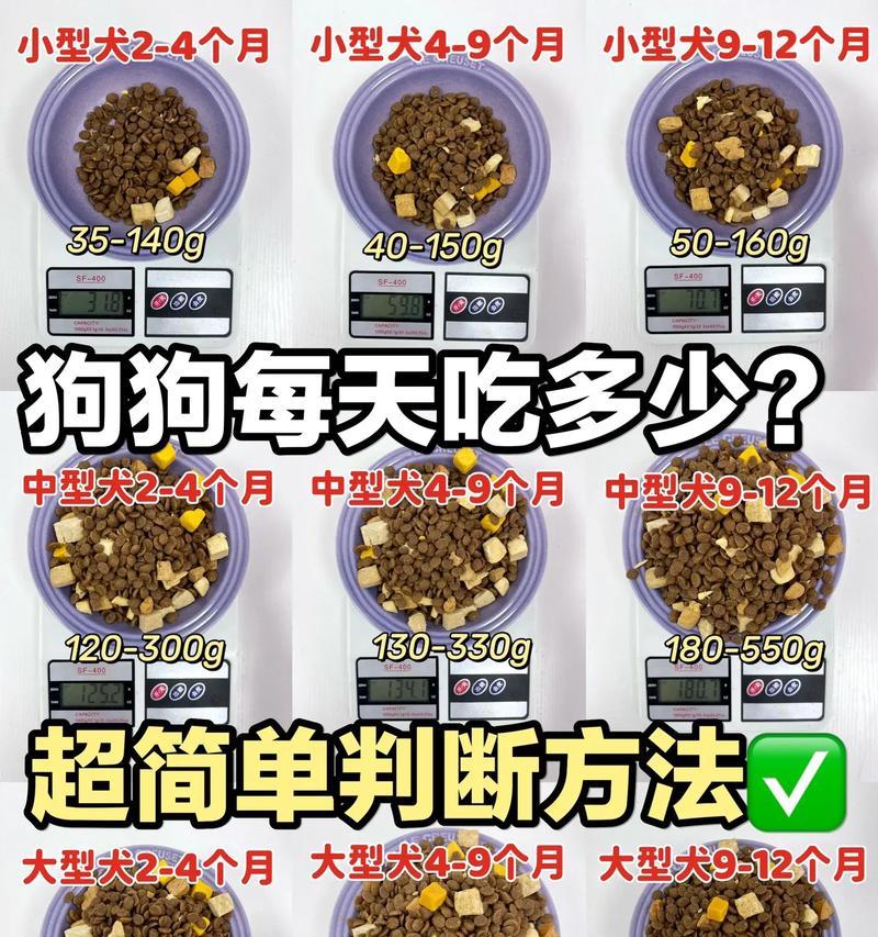 20斤狗的自制粮食谱是什么？自制狗粮的正确分量是多少？