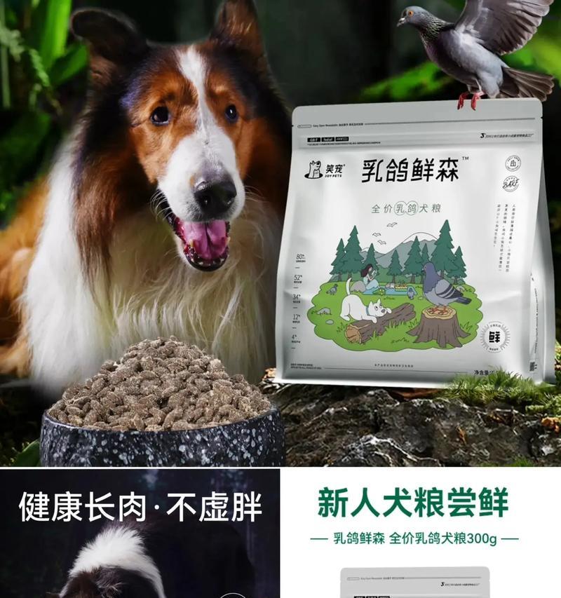 比熊犬何时开始喂干狗粮合适？有哪些过渡技巧？