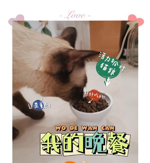 暹罗猫更适合哪种口味的猫粮？