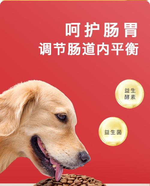 中型犬日常狗粮摄入量标准是什么？