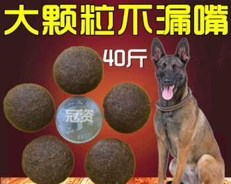 大型犬狗粮五斤够吃多久？如何选择适合大型犬的狗粮？