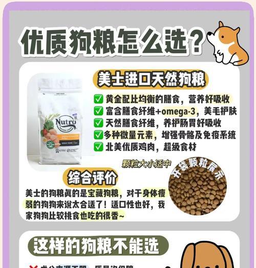 自制狗饭和狗粮有什么区别？如何选择适合狗狗的食物？