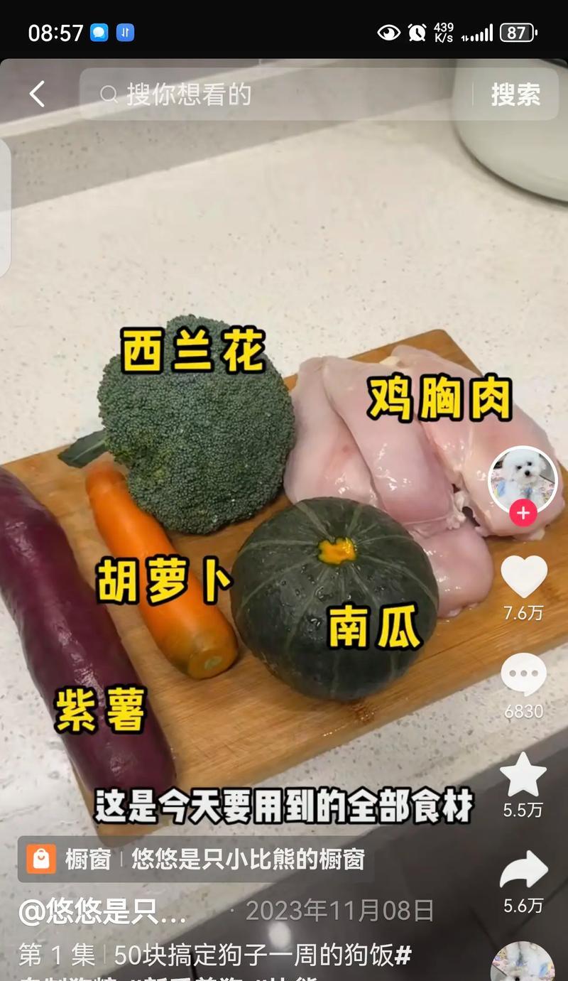 自制狗饭和狗粮有什么区别？如何选择适合狗狗的食物？