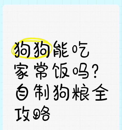 自制狗饭和狗粮有什么区别？如何选择适合狗狗的食物？