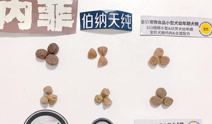 比熊犬适合吃蔬菜冻干吗？