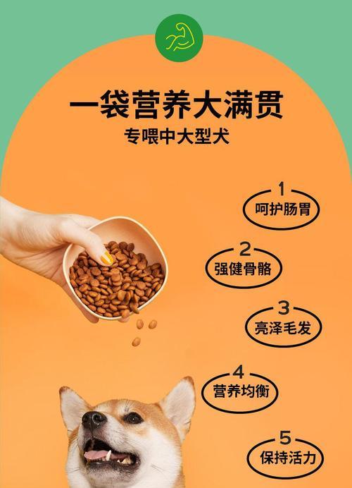 大型犬每月狗粮消耗量是多少克？如何计算？