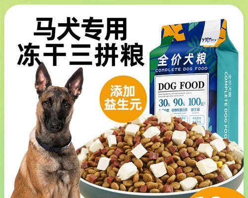 六个月中型犬每餐狗粮量标准是多少？是否正常？