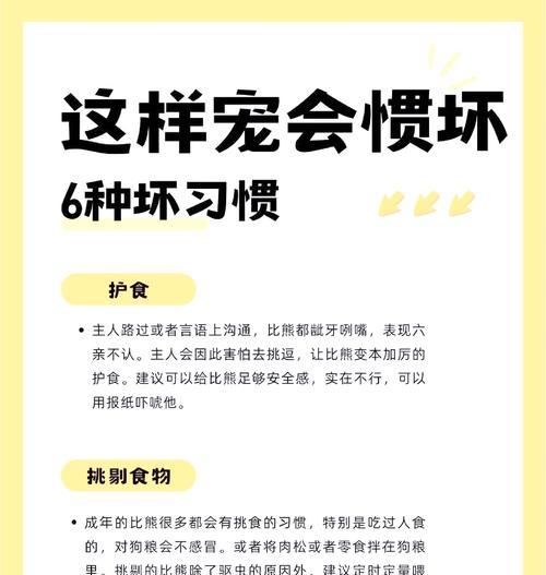 比熊一天一顿的喂食时间？如何安排比熊的饮食计划？