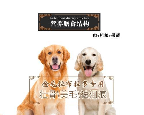 大型犬几个月大时可以停止泡狗粮？