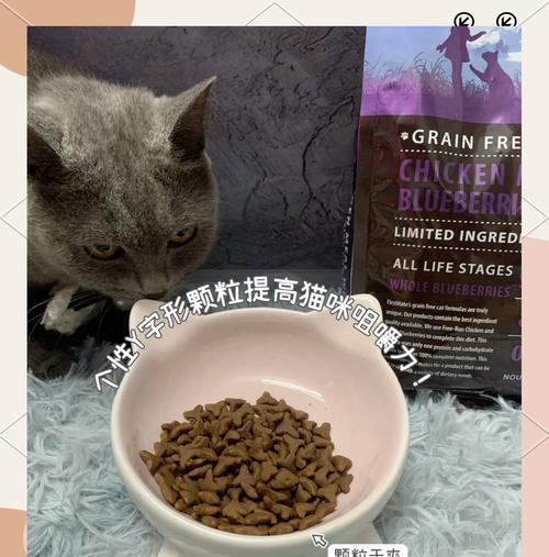 加菲猫肠胃不好应该吃什么牌子的猫粮？哪种更合适？