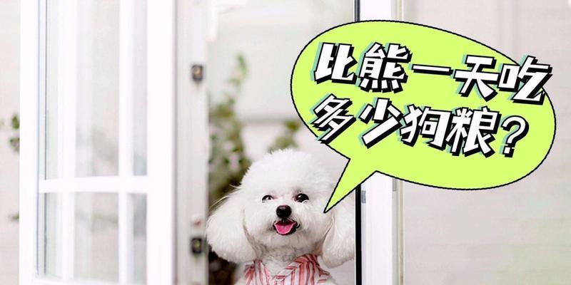 比熊犬狗粮和奶粉混合喂食安全吗？有哪些注意事项？