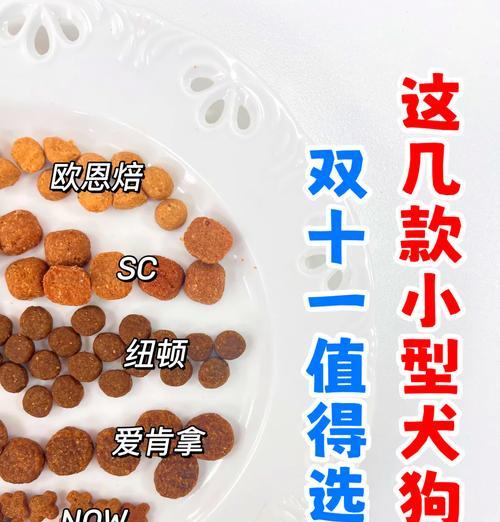 泰迪不吃狗粮只吃其他食物怎么办？