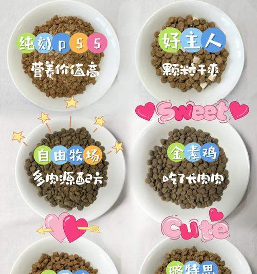 加菲猫适合吃闯荡猫粮吗？有哪些营养成分？