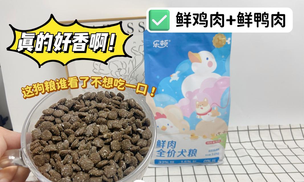 比熊犬可以食用大碴子粥吗？