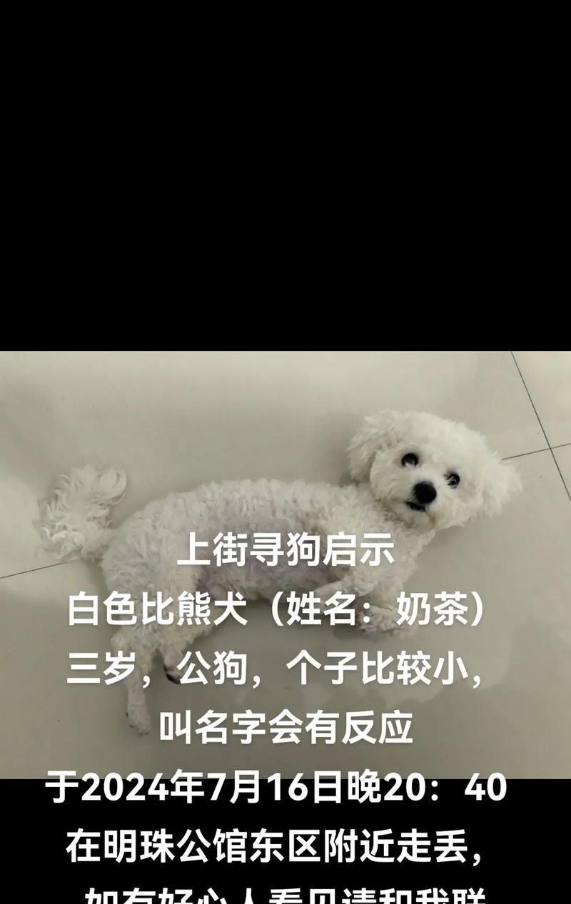 比熊犬可以食用大碴子粥吗？