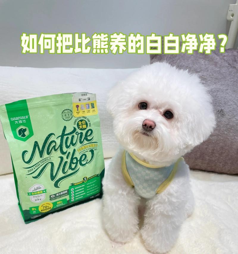 非比熊犬种可以食用比熊专用狗粮吗？