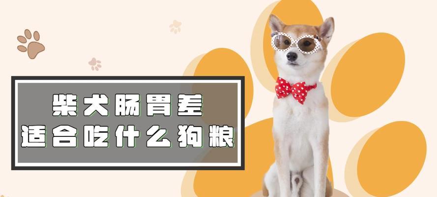 两三个月柴犬每次喂食狗粮多少合适？喂食指南是什么？