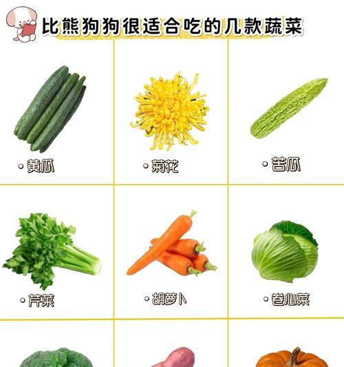 两个月大的比熊可以吃煮青菜吗？