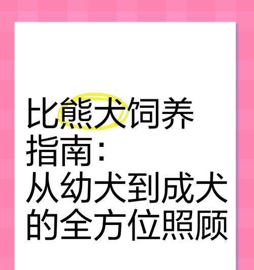 三个多月的比熊幼犬怎么喂养？喂食狗粮的正确方法是什么？