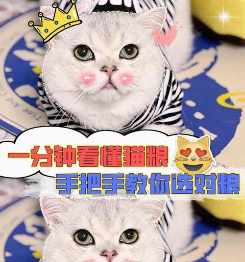 袋鼠猫粮是如何制作的？步骤是什么？