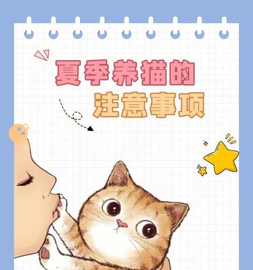 猫家禽和家畜哪个更易养？养猫需要注意什么？