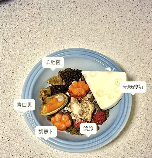 小比熊喂食鸡蛋黄：45天大能吃吗？原因是什么？