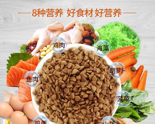 小比熊喂食鸡蛋黄：45天大能吃吗？原因是什么？