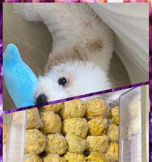 比熊犬可以吃鸡肝吗？最佳喂食方法是什么？