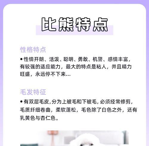 比熊幼犬笼养与散养的优缺点？哪种更适合比熊？