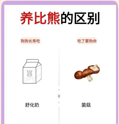 比熊幼犬笼养与散养的优缺点？哪种更适合比熊？