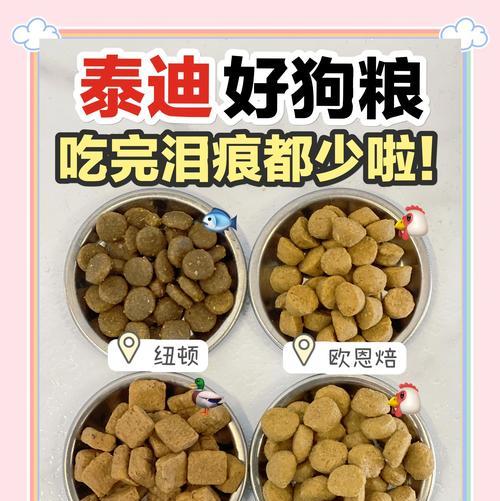 养小泰迪应该准备哪种狗粮？如何挑选适合的狗粮品牌？