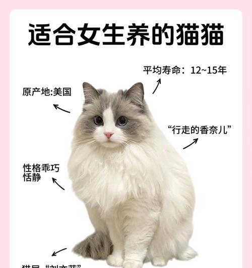 猫家禽和家畜哪个更适合家庭饲养？养哪种更省心？