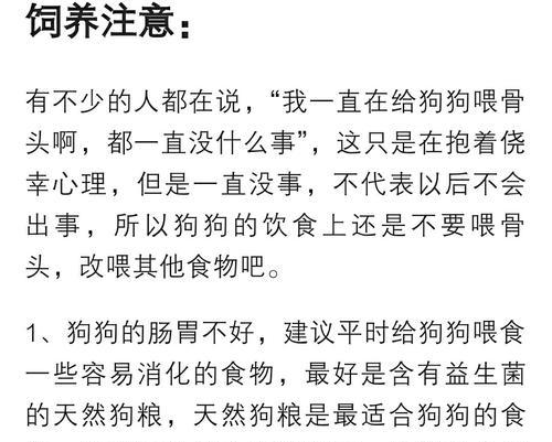 怎么让小狗吐出骨头来吃狗粮的方法？有哪些安全的训练技巧？